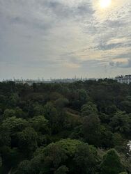 Normanton Park (D5), Apartment #486121021